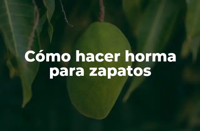 Cómo Hacer Horma para Zapatos 2 ¿Qué es una horma para zapatos y para qué sirve?