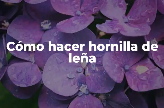 Cómo Hacer Hornilla de Leña 2 Cómo hacer hornilla de leña