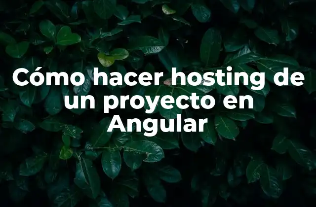 Cómo Hacer Hosting de un Proyecto en Angular