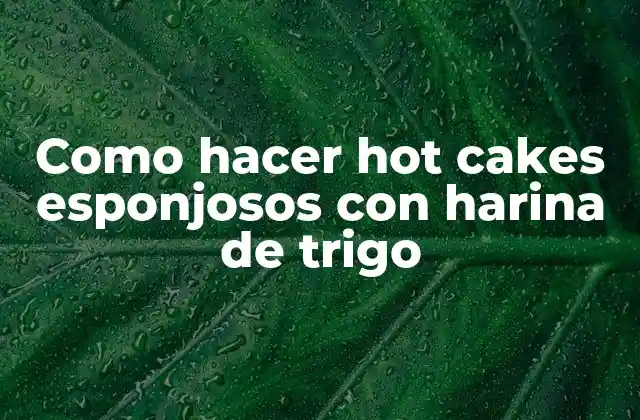 Como Hacer Hot Cakes Esponjosos con Harina de Trigo