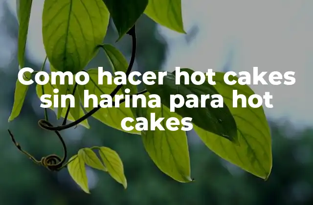 Como Hacer Hot Cakes sin Harina para Hot Cakes