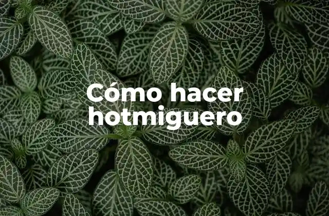 Cómo Hacer Hotmiguero