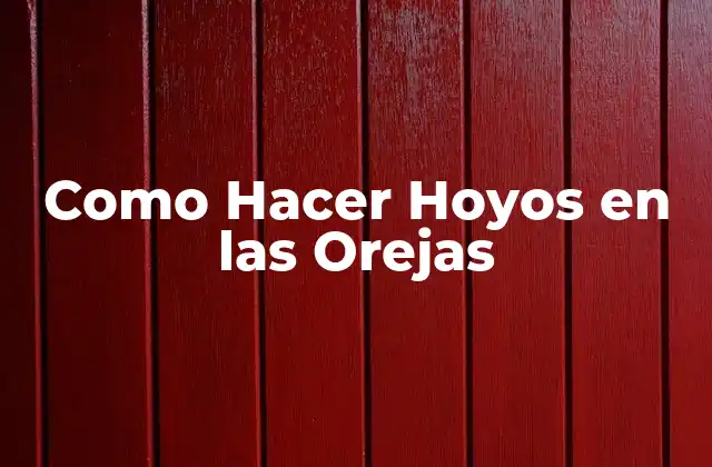 Como Hacer Hoyos en las Orejas