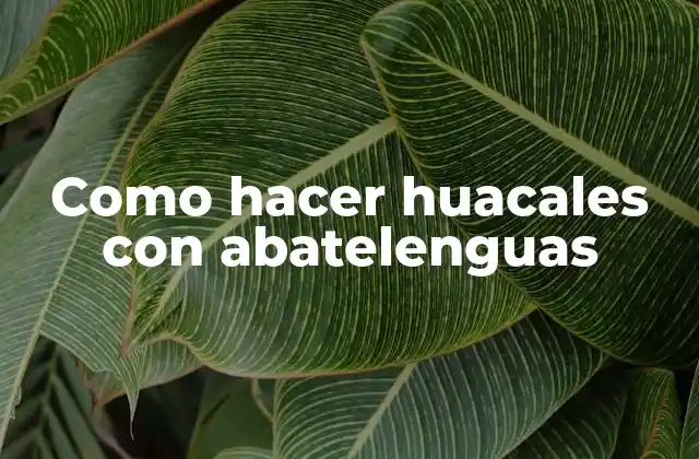 Como Hacer Huacales con Abatelenguas 2 Como hacer huacales con abatelenguas