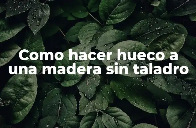 Como Hacer Hueco a una Madera sin Taladro