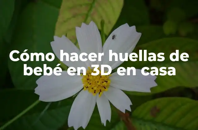 Cómo Hacer Huellas de Bebé en 3d en Casa