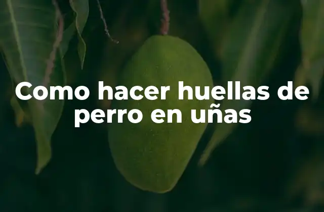 Como Hacer Huellas de Perro en Uñas