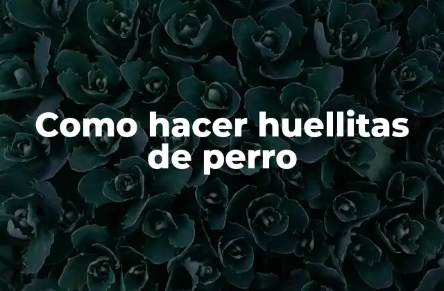 Como Hacer Huellitas de Perro