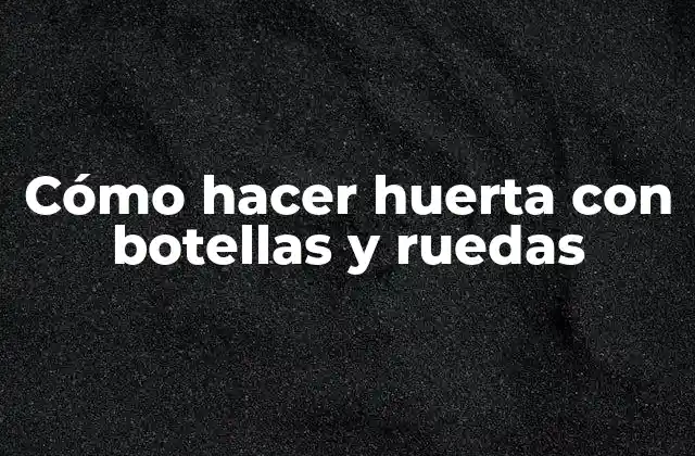 Cómo Hacer Huerta con Botellas y Ruedas