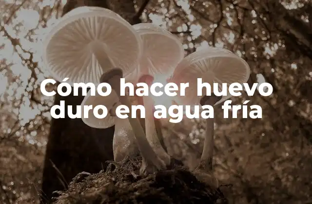 Cómo Hacer Huevo Duro en Agua Fría 2 Cómo hacer huevo duro en agua fría