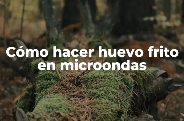 Cómo Hacer Huevo Frito en Microondas 2 Cómo hacer huevo frito en microondas