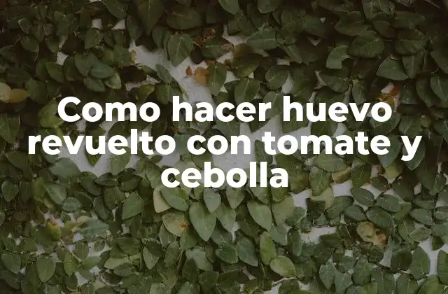 Como Hacer Huevo Revuelto con Tomate y Cebolla