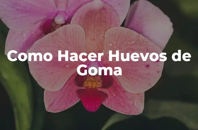 ¿Qué son los Huevos de Goma?