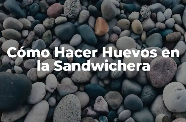 Cómo Hacer Huevos en la Sandwichera 2 Cómo Hacer Huevos en la Sandwichera