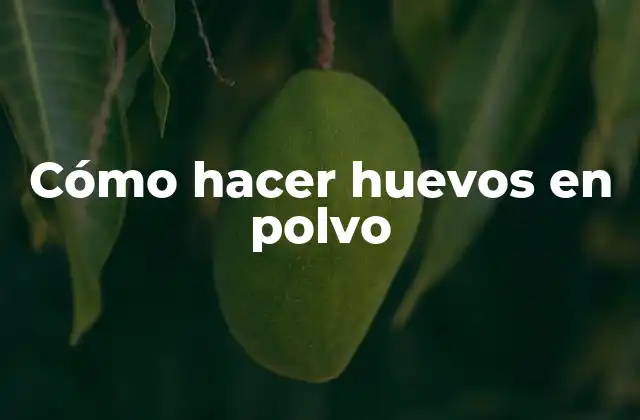Cómo Hacer Huevos en Polvo