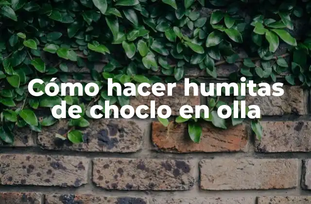 Cómo Hacer Humitas de Choclo en Olla