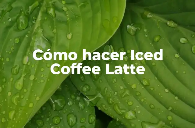 Cómo Hacer Iced Coffee Latte