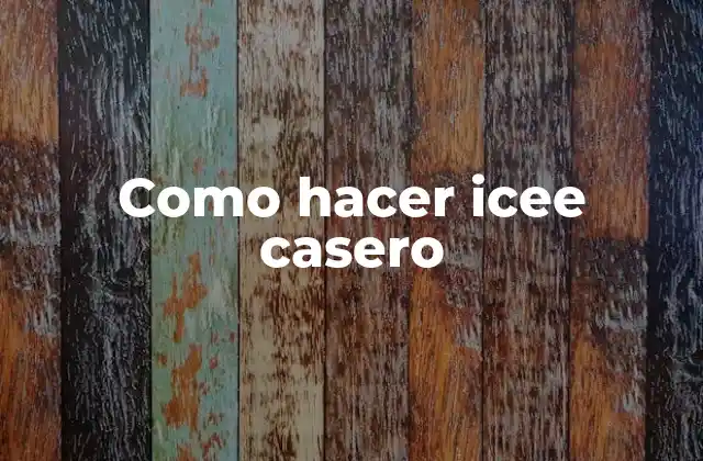 ¿Qué es un icee casero y para qué sirve?
