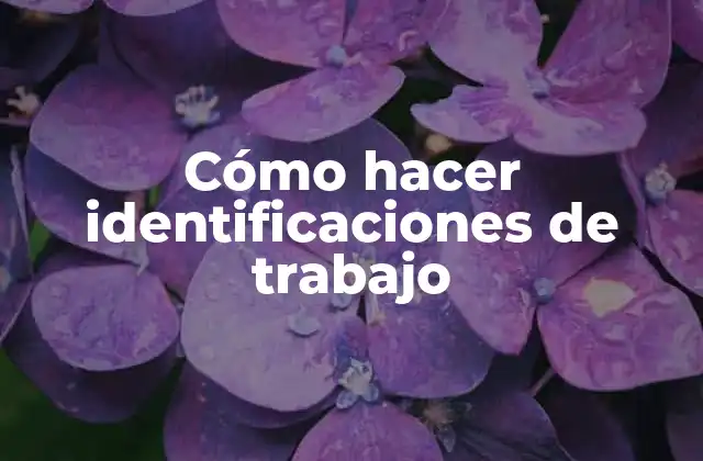 Cómo Hacer Identificaciones de Trabajo