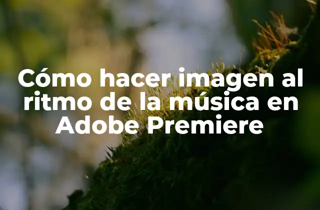 Cómo Hacer Imagen Al Ritmo de la Música en Adobe Premiere