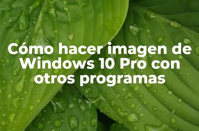 Cómo Hacer Imagen de Windows 10 Pro con Otros Programas