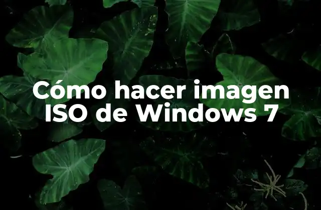 Cómo Hacer Imagen Iso de Windows 7