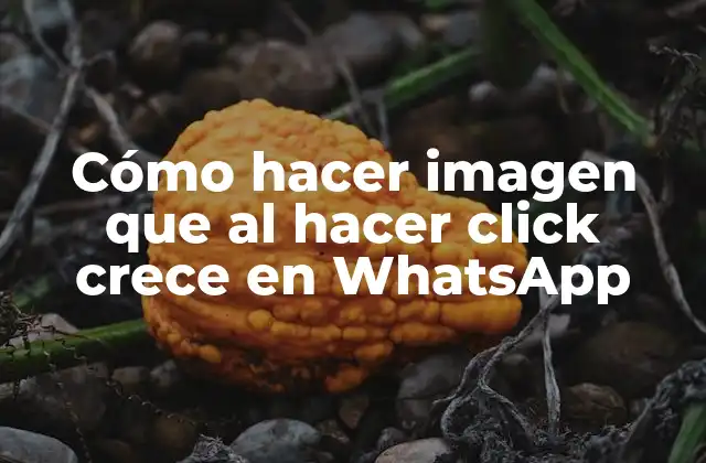Cómo Hacer Imagen que Al Hacer Click Crece en Whatsapp