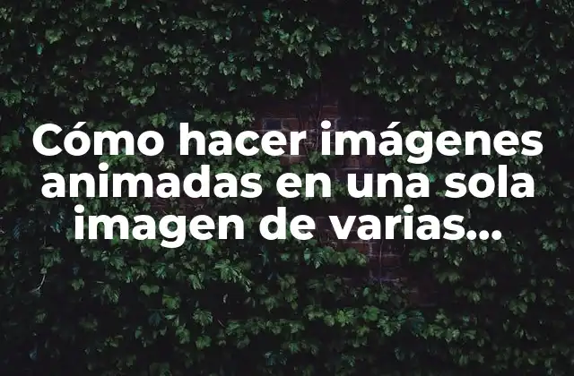 Cómo Hacer Imágenes Animadas en una Sola Imagen de Varias Imágenes