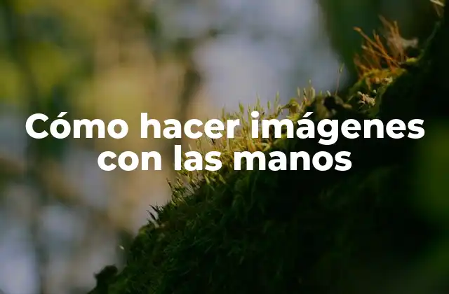 Cómo Hacer Imágenes con las Manos