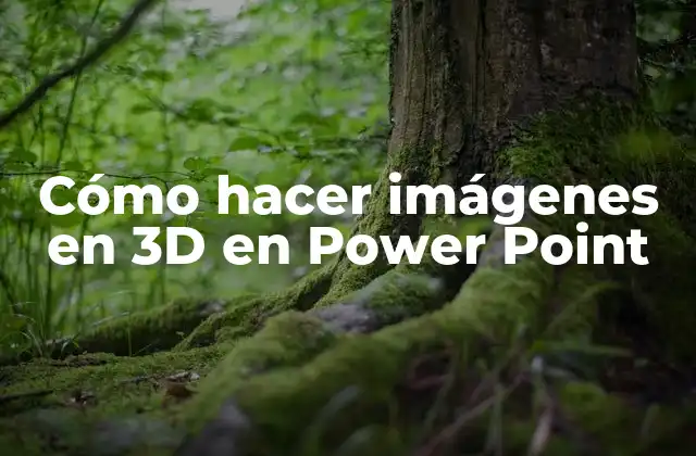 Cómo Hacer Imágenes en 3d en Power Point