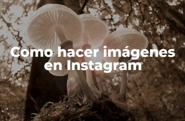 Como Hacer Imágenes en Instagram