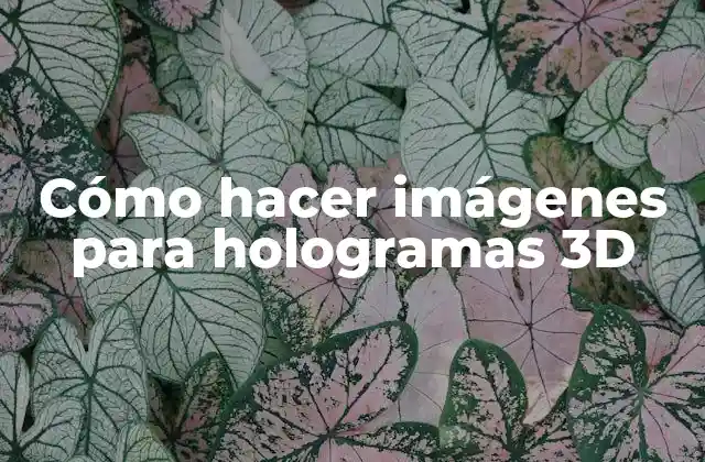Cómo Hacer Imágenes para Hologramas 3d