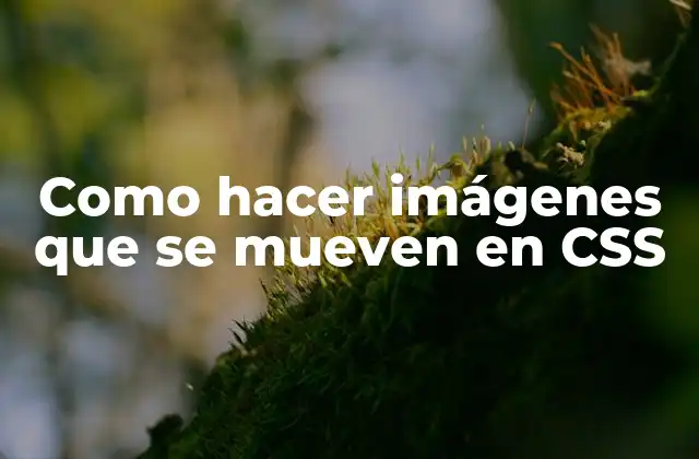 Como Hacer Imágenes que Se Mueven en Css