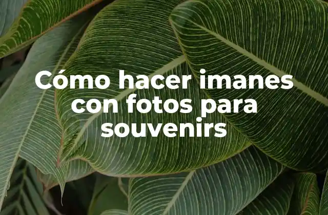 Cómo Hacer Imanes con Fotos para Souvenirs