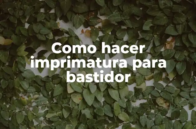 Como Hacer Imprimatura para Bastidor