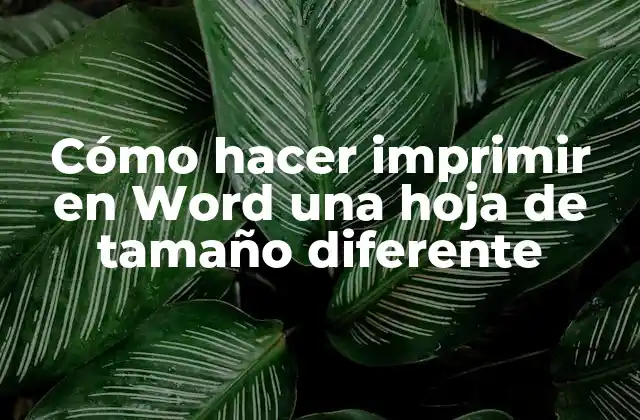 Cómo Hacer Imprimir en Word una Hoja de Tamaño Diferente