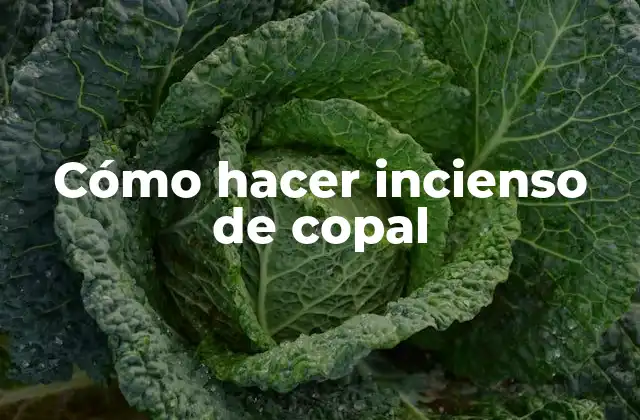 Cómo Hacer Incienso de Copal