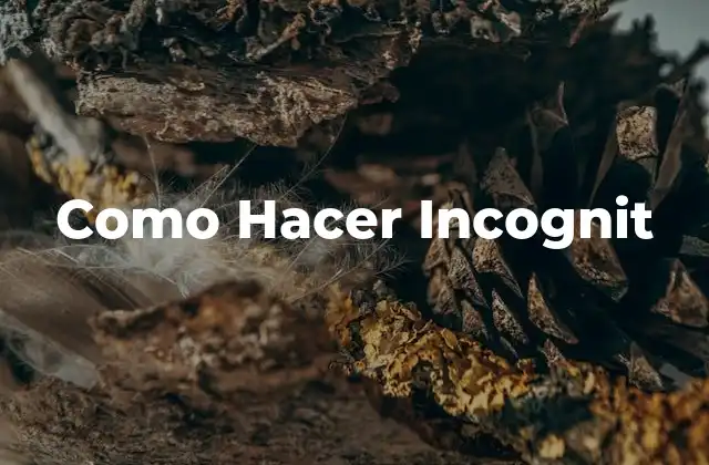 Como Hacer Incognit