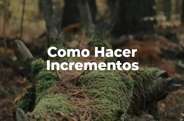Como Hacer Incrementos