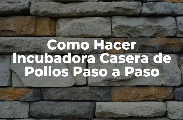 Como Hacer Incubadora Casera de Pollos Paso a Paso 2 ¿Qué es una Incubadora Casera de Pollos y para Qué Sirve?