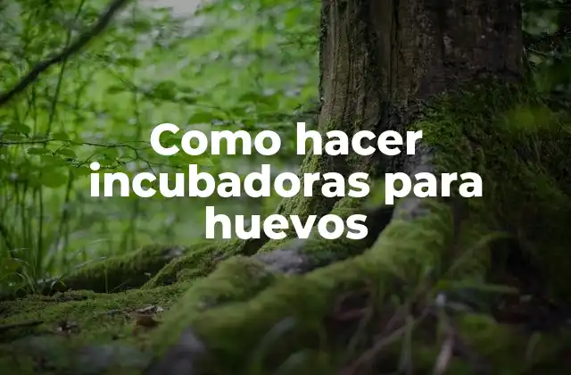 Como Hacer Incubadoras para Huevos