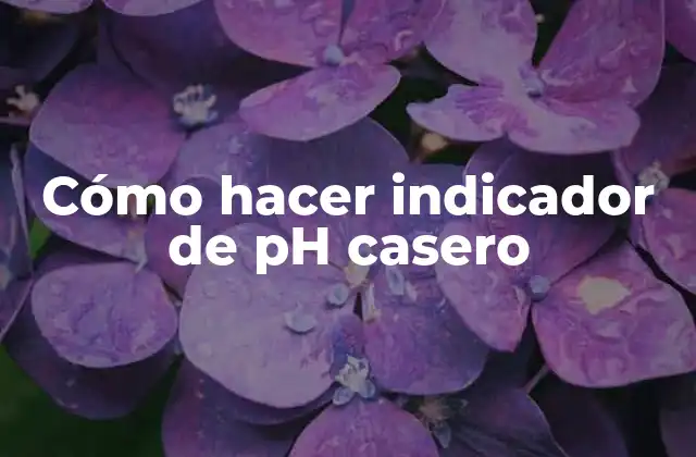 Cómo hacer indicador de pH casero