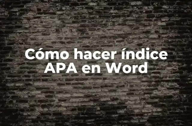 ¿Qué es un índice APA?