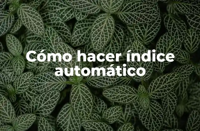 Cómo Hacer Índice Automático 2 ¿Qué es un índice automático y para qué sirve?