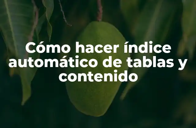 Cómo Hacer Índice Automático de Tablas y Contenido