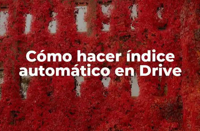 Cómo Hacer Índice Automático en Drive