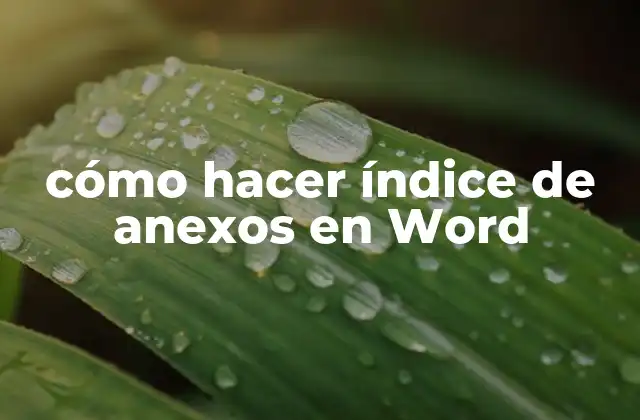 Cómo Hacer Índice de Anexos en Word
