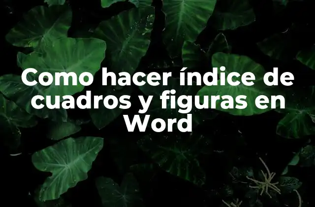 Como Hacer Índice de Cuadros y Figuras en Word