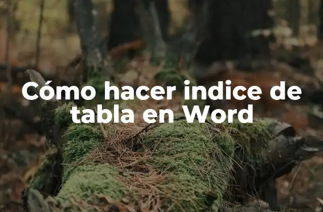 Cómo Hacer Indice de Tabla en Word