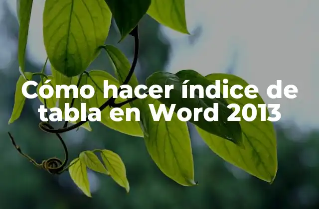Cómo Hacer Índice de Tabla en Word 2013